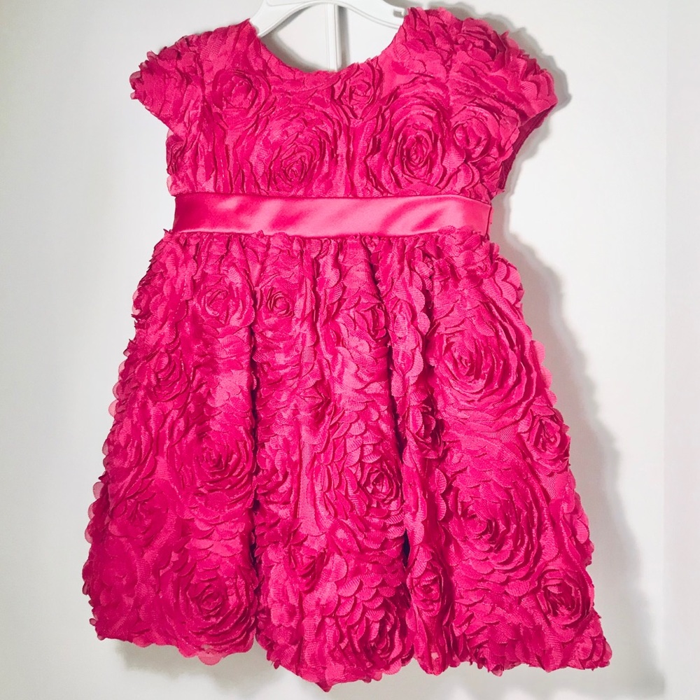 Fuchsia Social Dress Size 24M